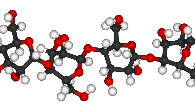 Cellulose có nhiều tính chất vật lý và hoá học nổi bật